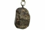 Stony Chondrite Meteorite ( g) Keychain #238150-1